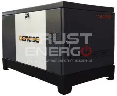 Газовый генератор Genese Pro 17000 Neva кожухе с АВР В кожухе Subaru EH99 trustenergo.ru