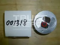 Поршень EX17/Piston