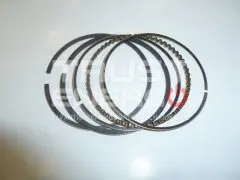 Кольца поршневые EX17/Piston rings, kit